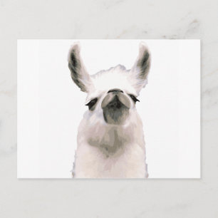 Postal Moma Llama