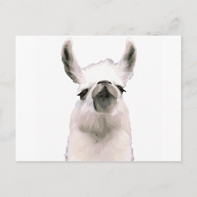 Postal Moma Llama (Anverso)