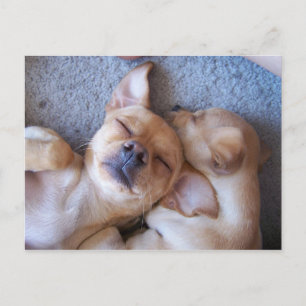 POSTAL MOMENTO EN EL TIEMPO