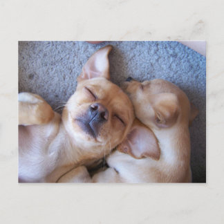 POSTAL MOMENTO EN EL TIEMPO