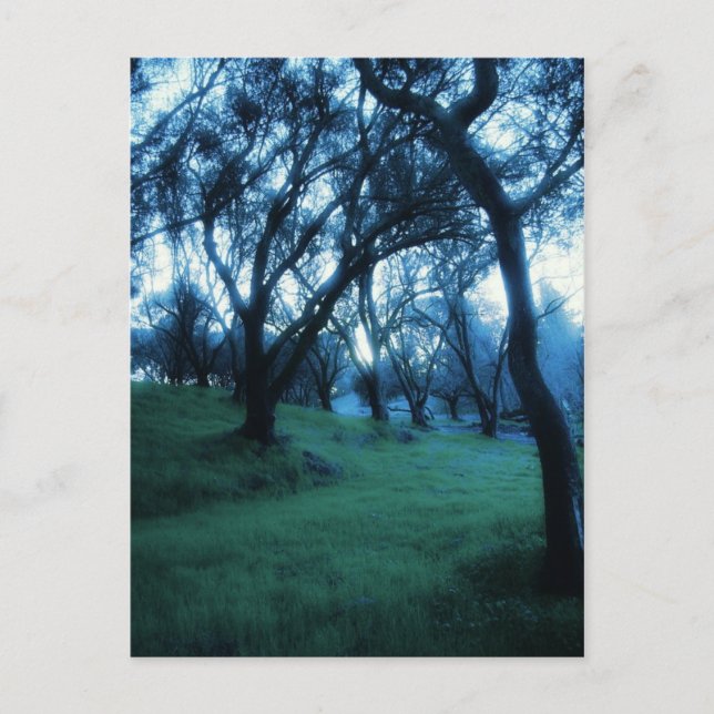 Postal Momento ético (Anverso)