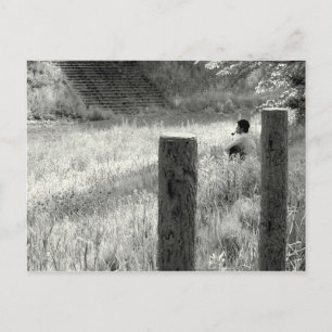 Postal Momento pacífico