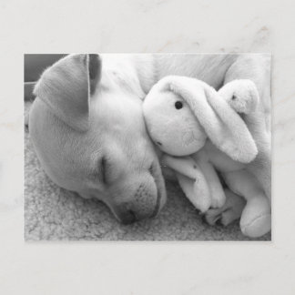 POSTAL MOMENTO PRECIOSO DEL PERRITO