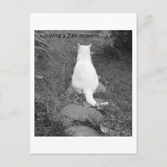 Postal Momento zen (Anverso)