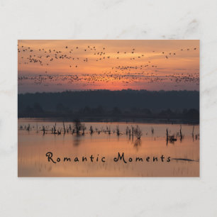 Postal Momentos románticos Aves al amanecer foto con text