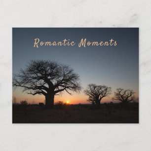 Postal Momentos románticos Sunset Sacred Baobabs foto tex