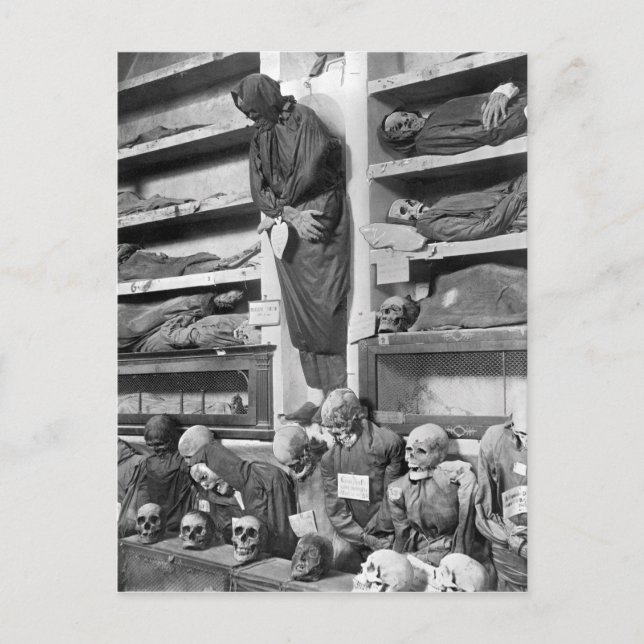 Postal Momias en las catacumbas de Palermo, Italia (Anverso)