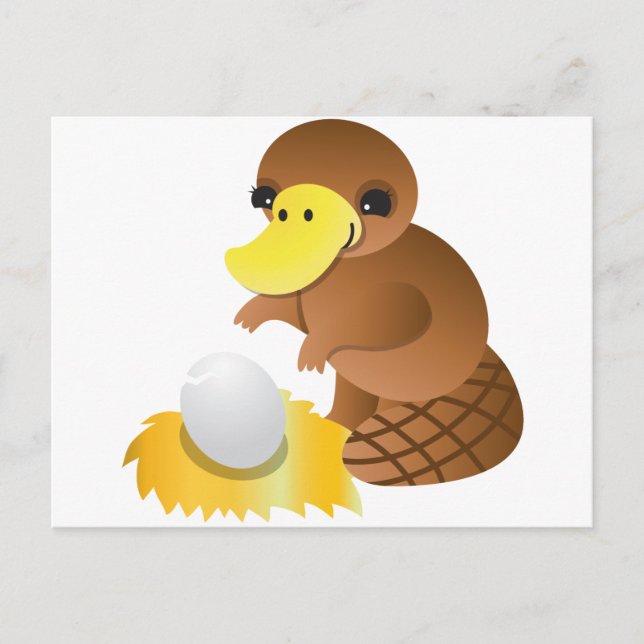 Postal MOMMA platypus (Anverso)