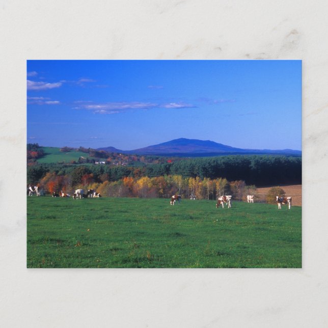 Postal Monadnock de las MAMÁES Templeton (Anverso)