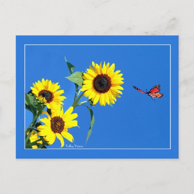 Postal Monarca con amarillo y azul (Anverso)