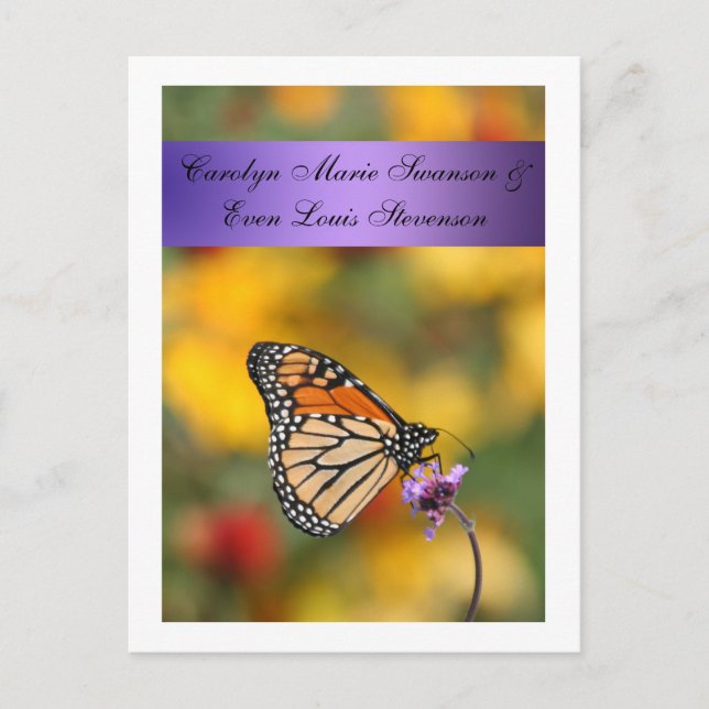 Postal Monarch Butfly Card (Anverso)