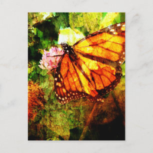 Postal Monarch Grunge
