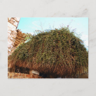 Postal Monasterio de St. Catherine, Sinaí del Sur, Egipto