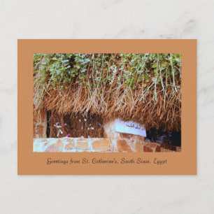 Postal Monasterio de St. Catherine, Sinaí del Sur, Egipto