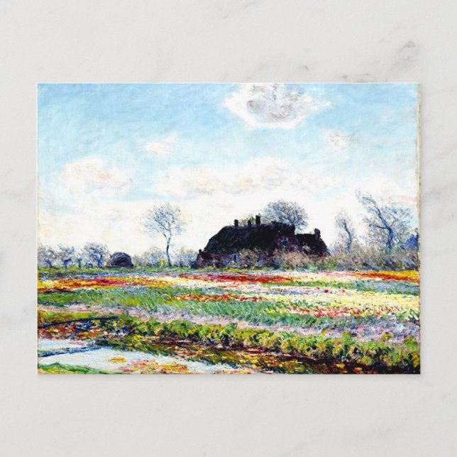 Postal Monet - Campos de tulipán en Sassenheim (Anverso)