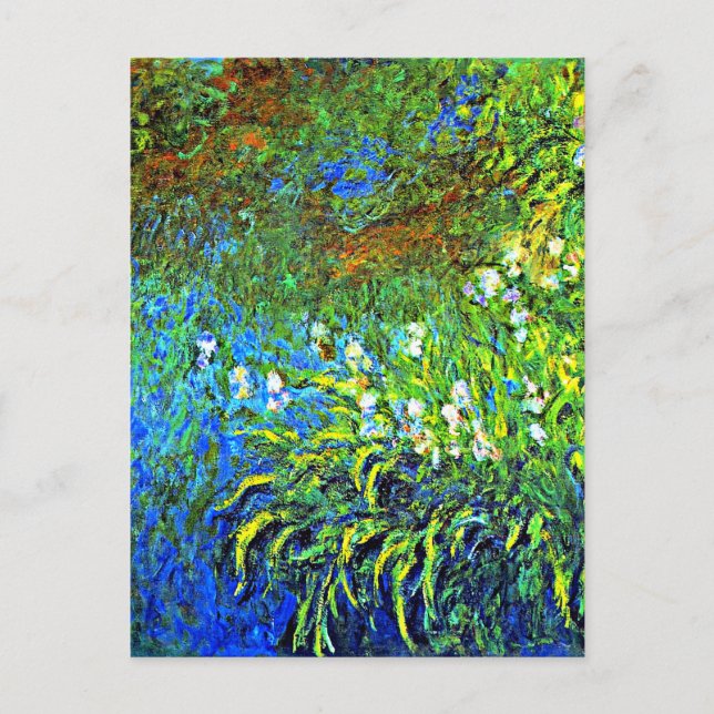 Postal Monet - Iris en el estanque de Rosa del mar, famos (Anverso)