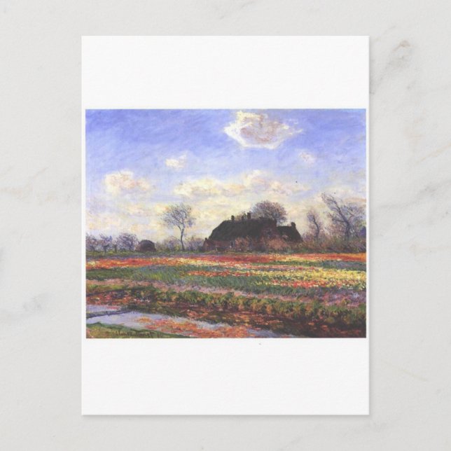 Postal Monet-Tulpenfelder en Sassenheim-1886 (Anverso)