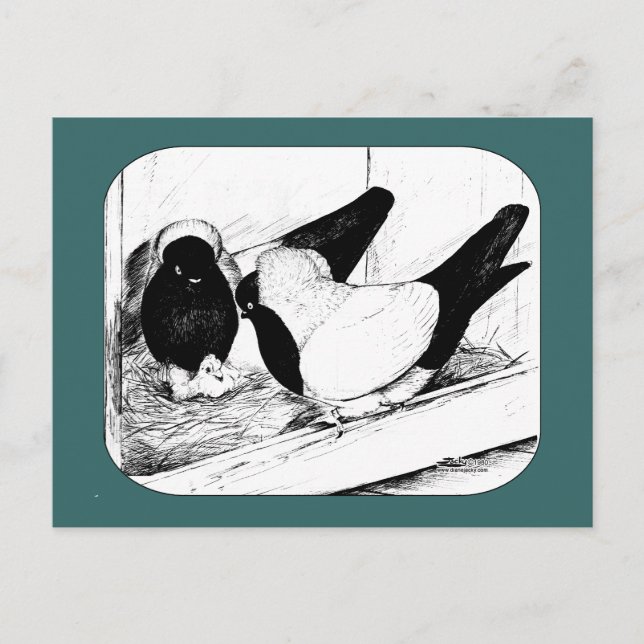 Postal Monjas 1980 (Anverso)