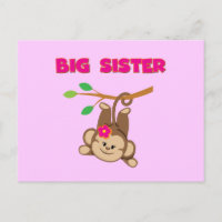 Monkey Big Sister