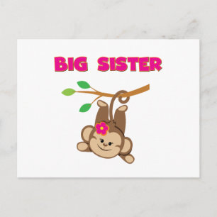 Postal Monkey Big Sister