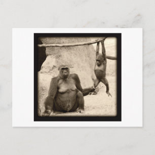 Postal Monkey Business