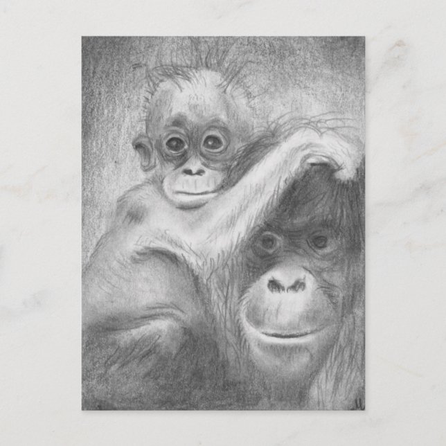 Postal Mono (Anverso)