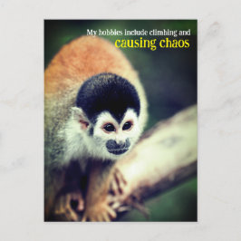 Postal Mono ardilla en árbol