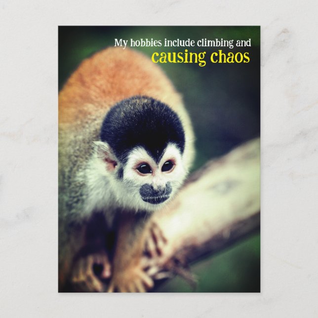 Postal Mono ardilla en el árbol (Anverso)