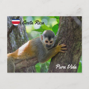 Postal Mono ardilla en el Parque Nacional Manuel Antonio
