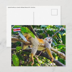 Postal Mono ardilla en el PN Manuel Antonio - Costa Rica