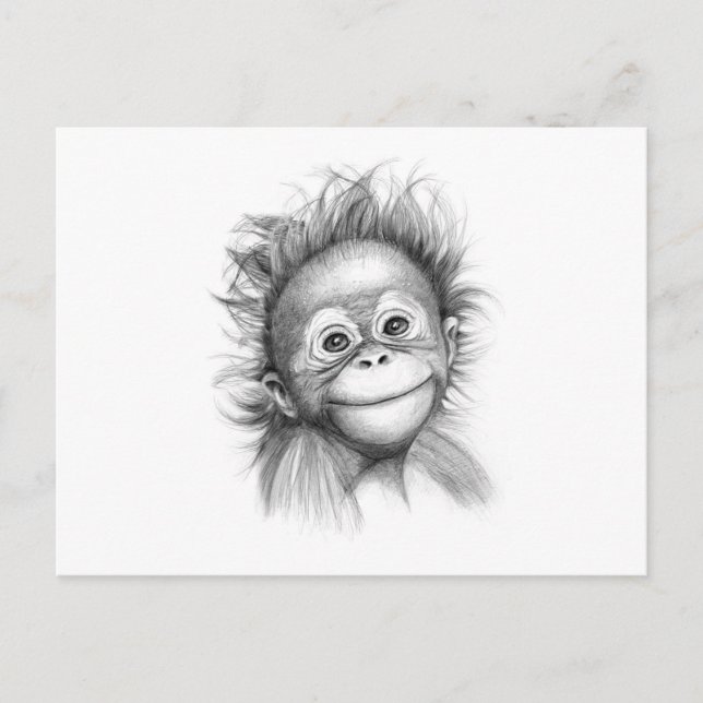 Postal Mono - Baby Orang Outan 2016 G-121 (Anverso)