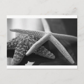 Postal Mono de estafas