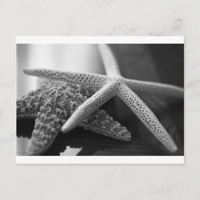 Postal Mono de estafas (Anverso)
