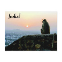 Mono de Meditación Pacífica de Viajes Sunset India