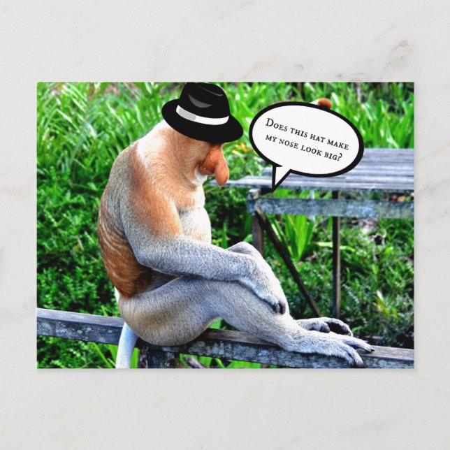 Postal Mono de Proboscito - ¿Hace el gorra que mi nariz s (Anverso)