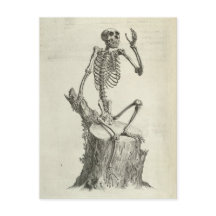 Mono de Skeleton
