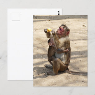 Postal Mono - Desayuno de madres