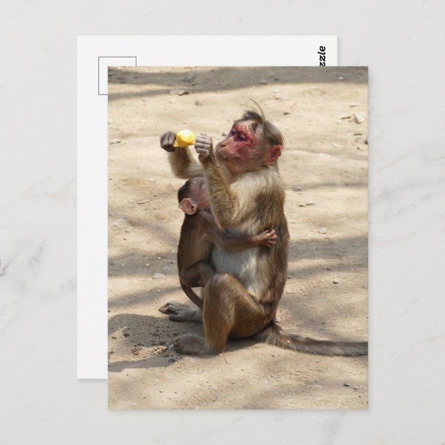 Postal Mono - Desayuno de madres (Anverso / Reverso)