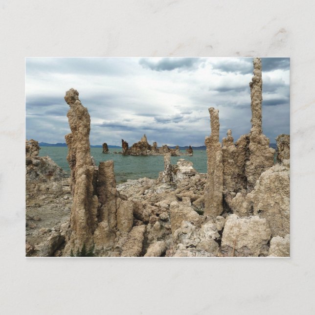 Postal Mono lago (Anverso)
