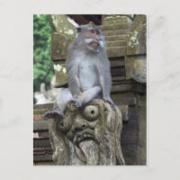 Mono que se sienta en una estatua en Bali