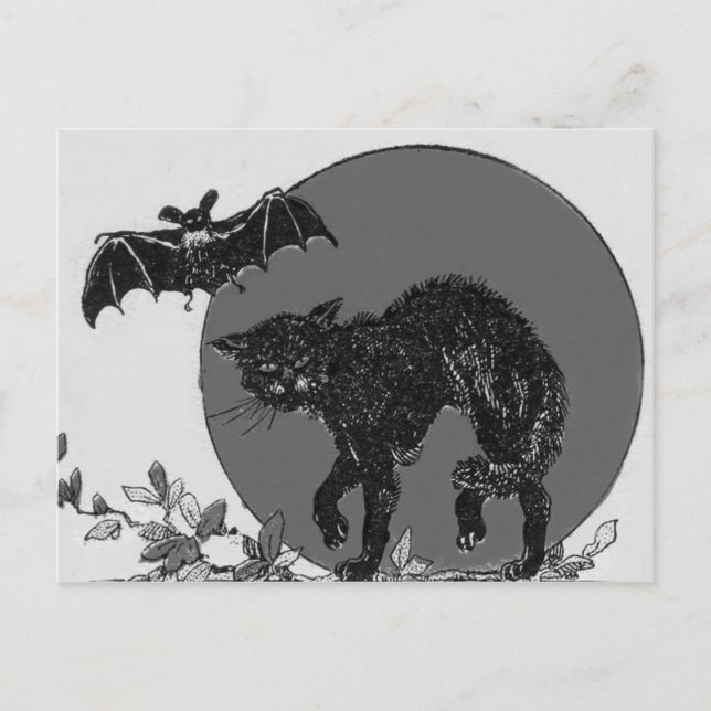 Postal Monocromo Black Cat Bat Full Moon (Anverso)