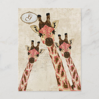 Postal monográfica Rosa & Copper Giraffes