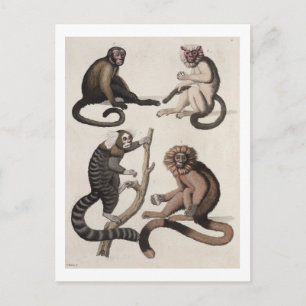 Postal Monos (color litho)