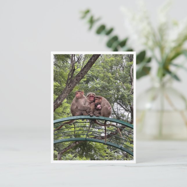 Postal Monos con un bebé pequeño (Anverso de pie)