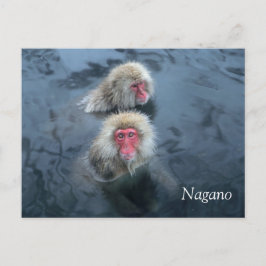 Postal Monos de nieve en Nagano, Japón