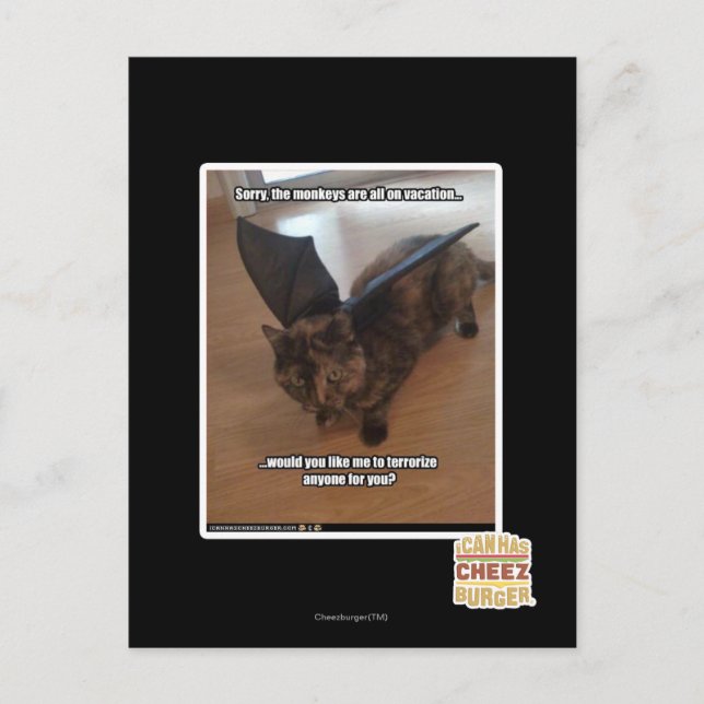 Postal Monos el vacaciones (Anverso)