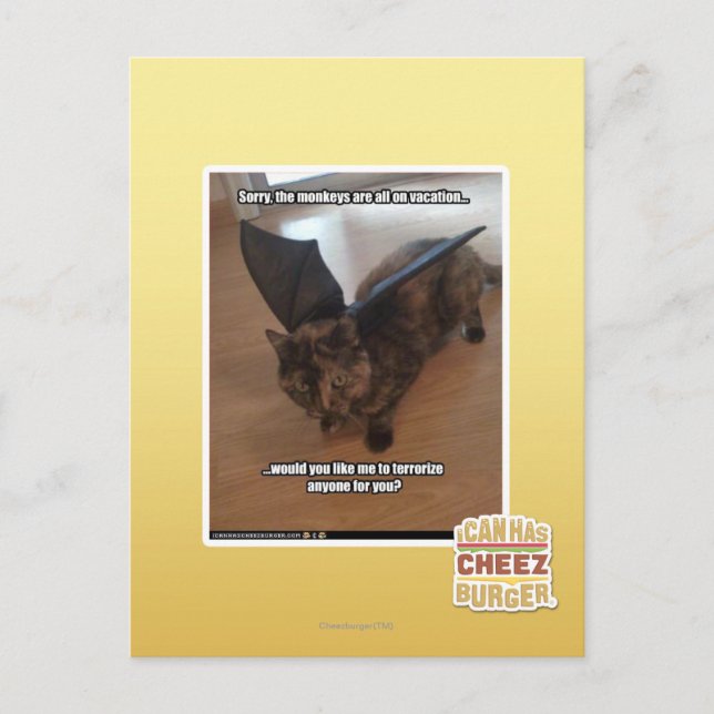 Postal Monos el vacaciones (Anverso)