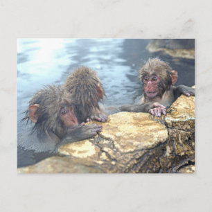 Postal Monos Onsen