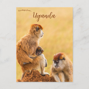 Postal Monos Patas en Uganda
