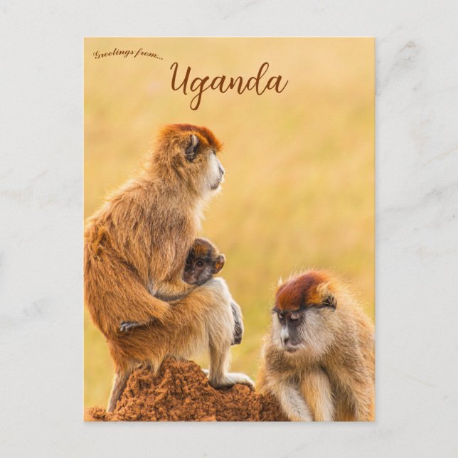 Postal Monos Patas en Uganda (Anverso)